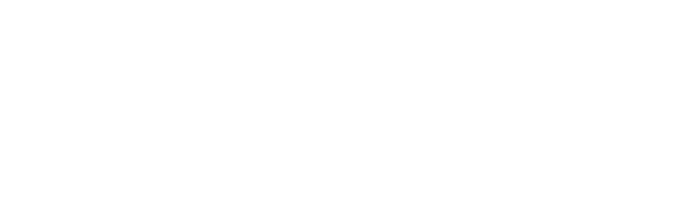 Vidyavilla